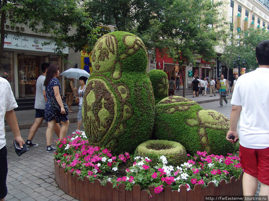 Прогулка к реке Сонгхуа Харбин, Китай