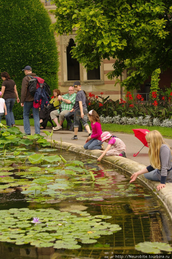 Вильгельма: зооботанический сад - озерко с водяными лилиями Штутгарт, Германия