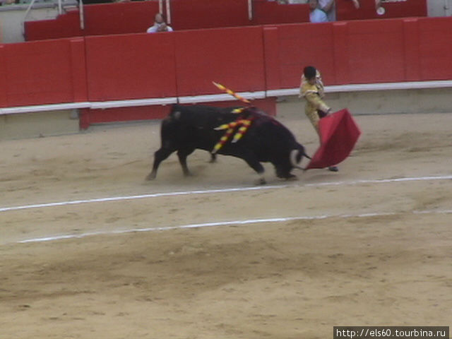 Матадор (исп. matador de toros, букв. «тот, кто убивает») — в испанском бое быков главный участник, убивающий быка. Матадором называется персонаж пешей корриды, в конной он называется рехонеадором. Матадор, убивающий молодых быков, называется новильеро. Барселона, Испания