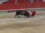 Матадор (исп. matador de toros, букв. «тот, кто убивает») — в испанском бое быков главный участник, убивающий быка. Матадором называется персонаж пешей корриды, в конной он называется рехонеадором. Матадор, убивающий молодых быков, называется новильеро.