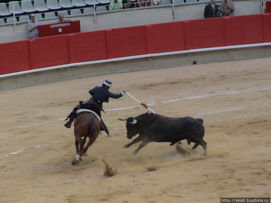 Эти бандерильи сильно раззадоривают быка Барселона, Испания