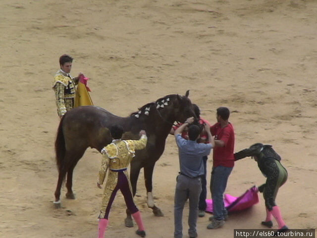 Коня ставят на ноги и тоже уводят с арены. Барселона, Испания