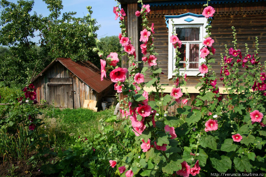 Все краски лета