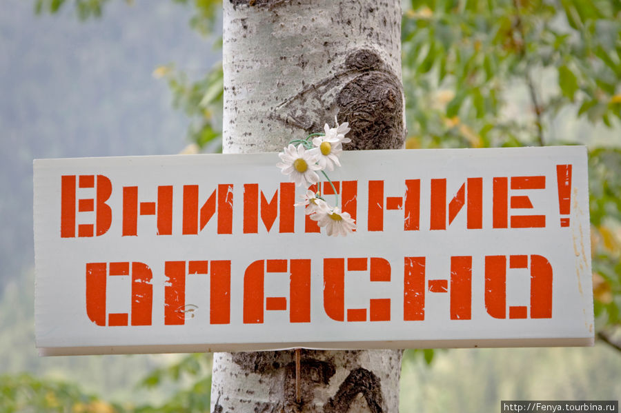 Знаю я, есть края — походи, поищи-ка, попробуй... Абхазия