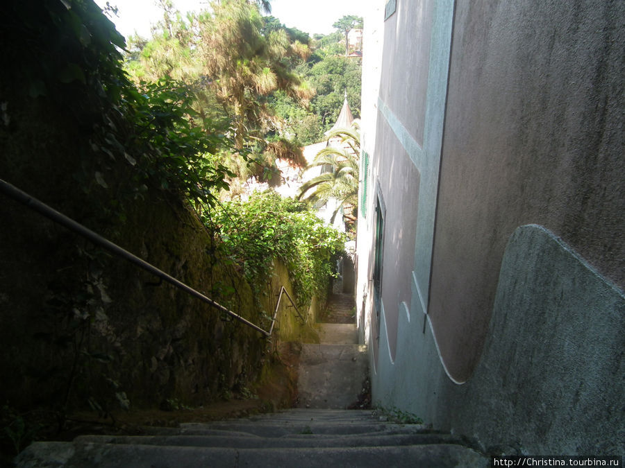 Вся прогулка по Синтре являет собой многочисленные подъемы и спуски по крутым лестницам. Синтра, Португалия