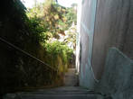 Вся прогулка по Синтре являет собой многочисленные подъемы и спуски по крутым лестницам.