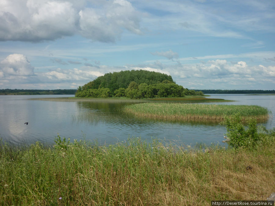 Озеро ледникового происхождения, возраст — примерно десять тысяч лет (материал из Википедии) Езерище, Беларусь