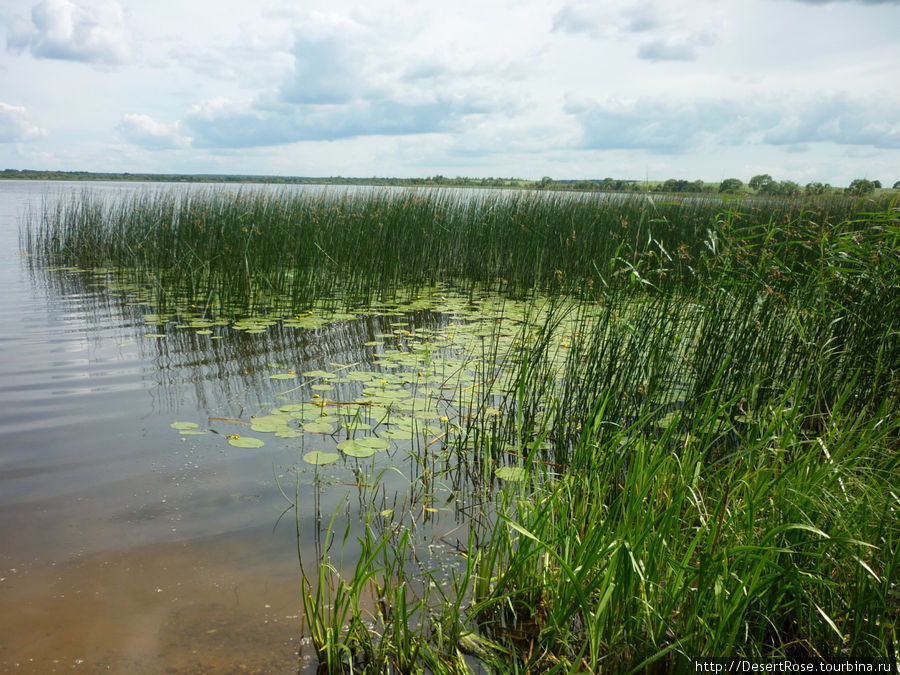 озеро Езерище Езерище, Беларусь