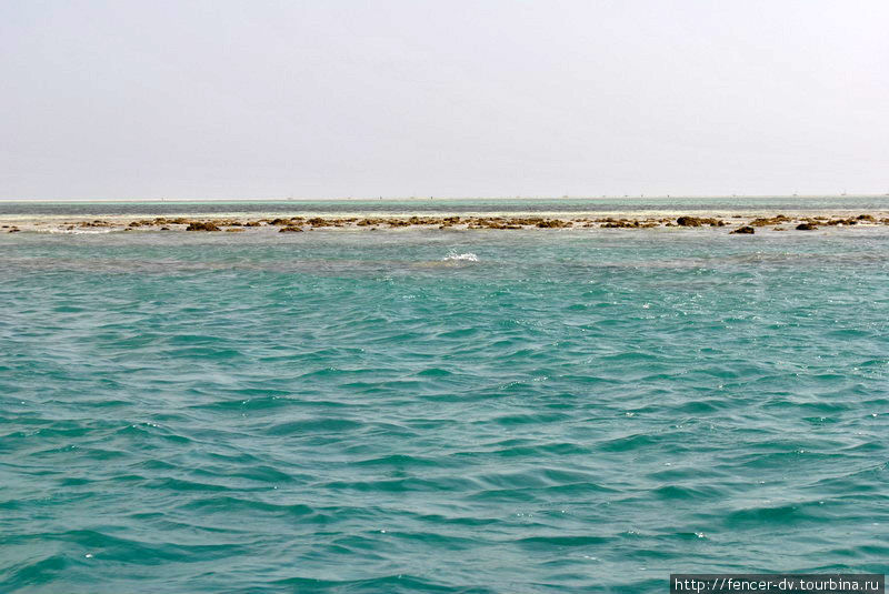 Начался отлив и риф показался над водой. На горизонте можно увидеть десятки парусов рыбацких лодок Остров Занзибар, Танзания
