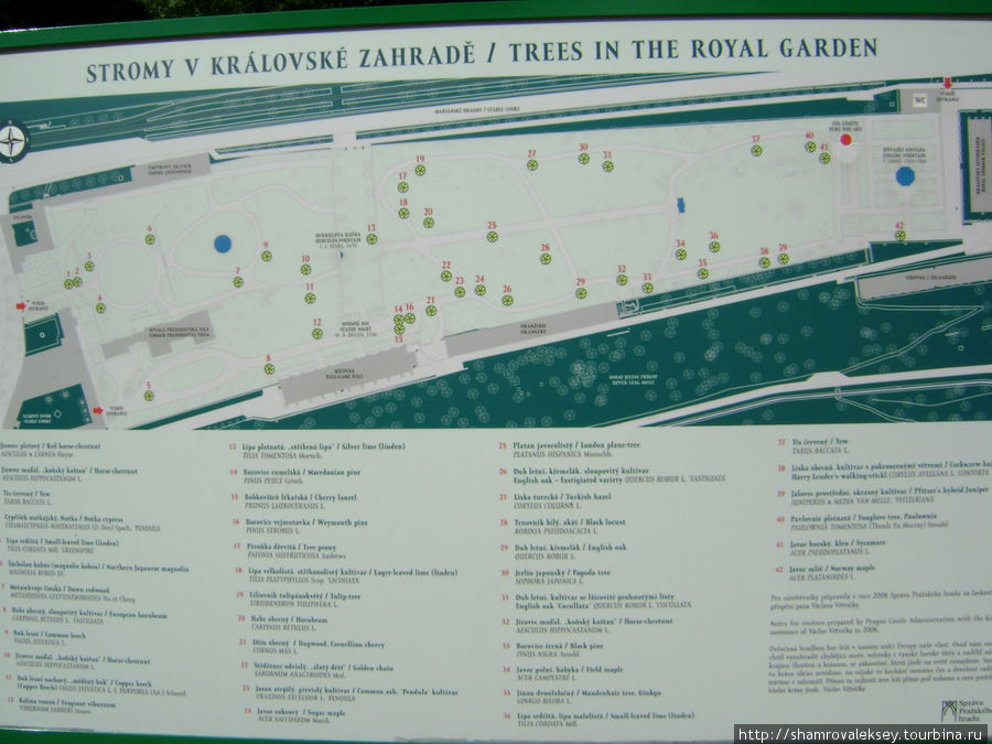 Карта расположения деревьев из ботанической коллекции деревьев и кустарников королевского сада Прага, Чехия