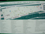 Карта расположения деревьев из ботанической коллекции деревьев и кустарников королевского сада