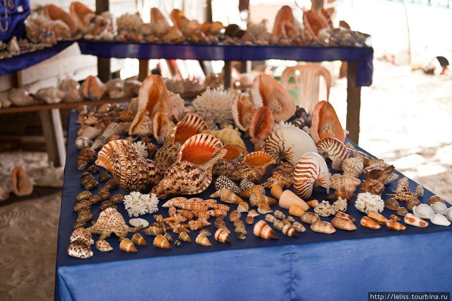 В деревеньке есть несколько сувенирных лавочек. Выглядят они очень богато. Покупать что-либо не рекомендую: ракушки запрещены к вывозу из Малайзии (да и не стоит поощрять торговлю подобными сувенирами: ракушке место на дне моря). Остров Мабул, Малайзия
