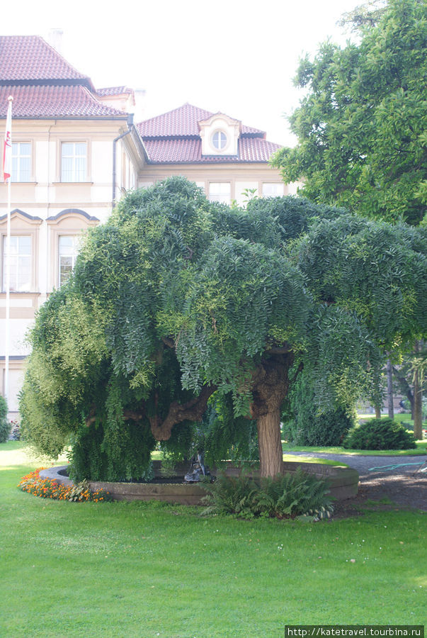 Малый Фюрстенбергский сад Прага, Чехия
