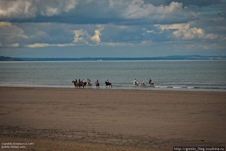 В Северном море купали коней. Поэтому мы воздержались. Вода в августе до +16 Эдинбург, Великобритания