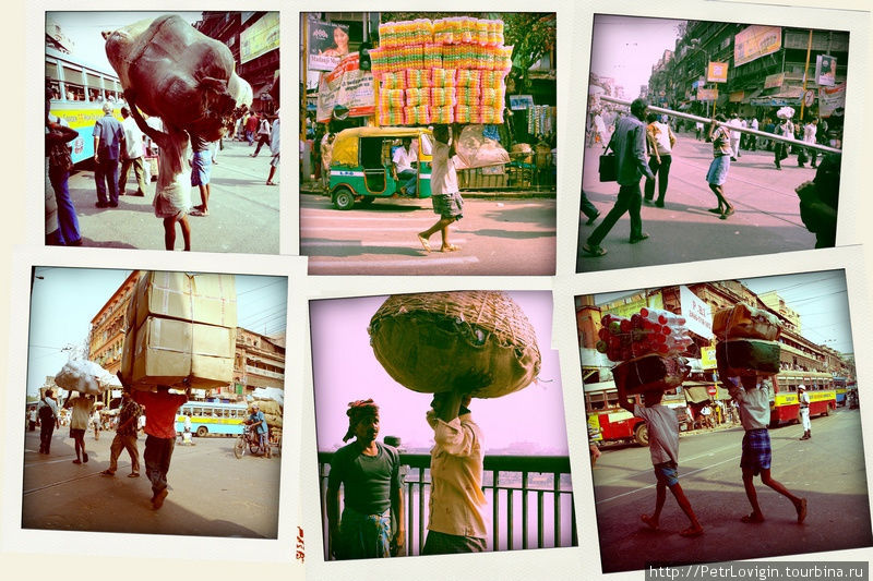 Бабье лето/Indian summer. день 3 Калькутта, Индия
