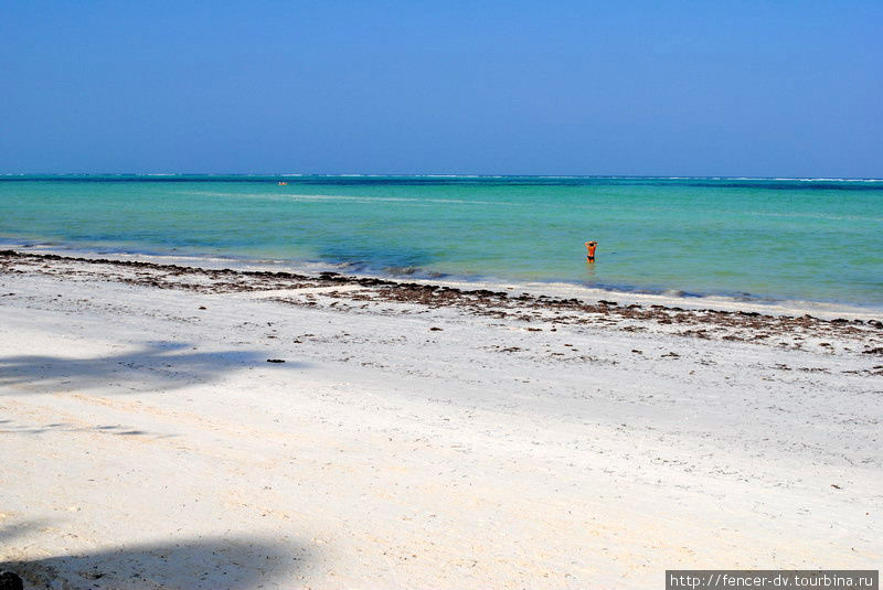 Туристов на Занзибаре сравнительно мало, так что картинка с одним купающимся на сто метров пляжа — не редкость Остров Занзибар, Танзания