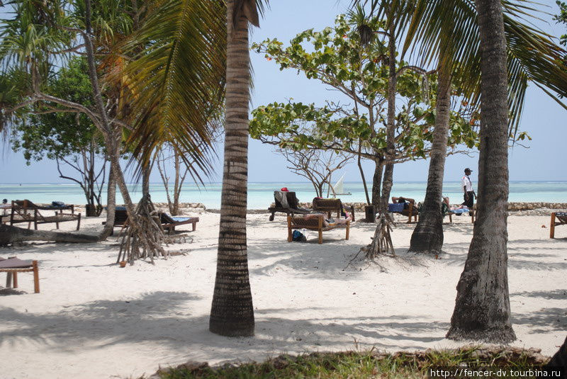Отельные пляжи отличаются наличием пальм и лежаков) Остров Занзибар, Танзания