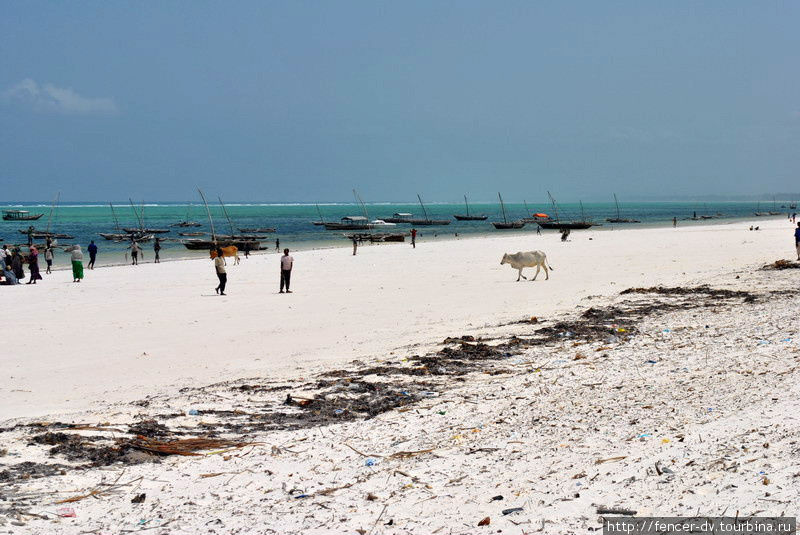 Белые пляжи далекого острова Остров Занзибар, Танзания