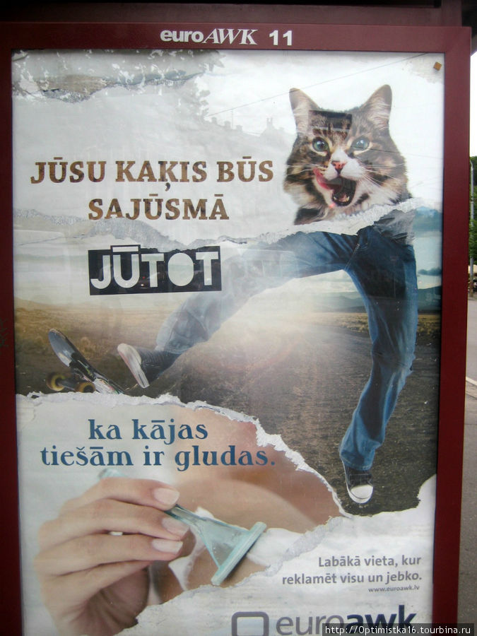 Коты города Риги. Рига, Латвия