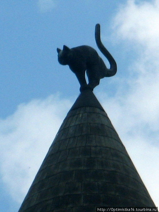 Кот на крыше знаменитого Кошкина дома Рига, Латвия