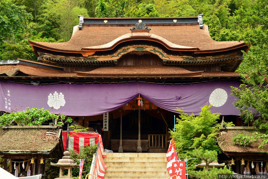 Главное здание святилища Цукубусума. Национальное сокровище Японии. Нагахама, Япония