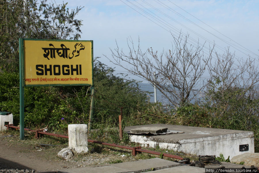 Узкоколейная железная дорога Калка - Шимла. Шимла, Индия