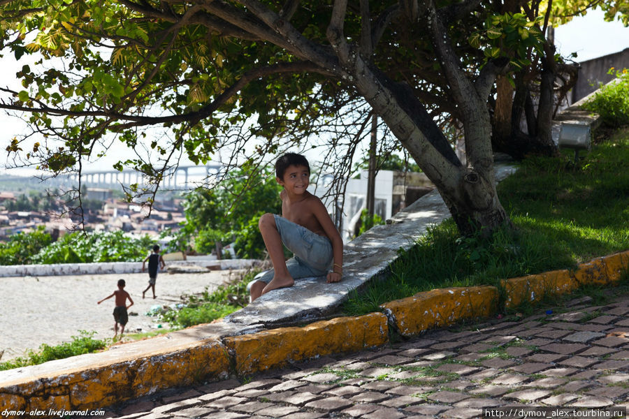 Местные мальчишки, просящие денег у туристов. Никакого криминала, не бойтесь, только просящие. Натал, Бразилия