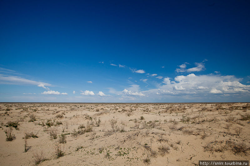 Морской песочек на дне моря. Муйнак, Узбекистан