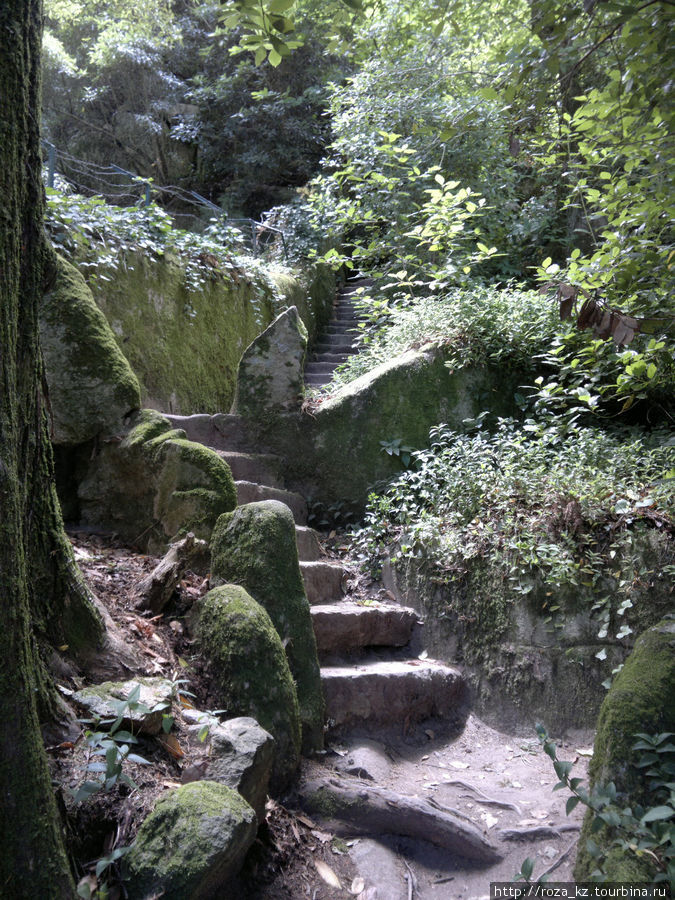 Казаки-разбойники в Quinta da Regaleira Синтра, Португалия