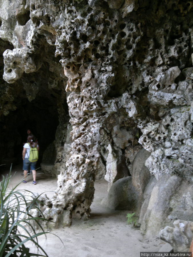 Казаки-разбойники в Quinta da Regaleira Синтра, Португалия