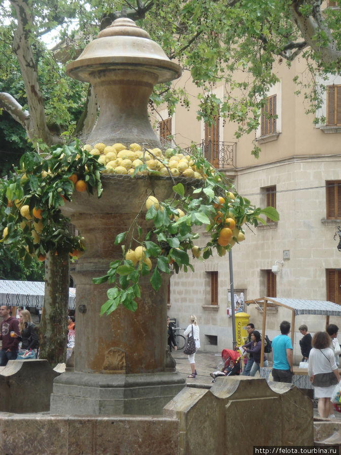 Дождь и лимоны Сольер, остров Майорка, Испания