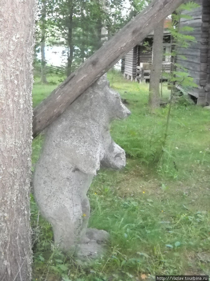 Медведь за работой Иматра, Финляндия