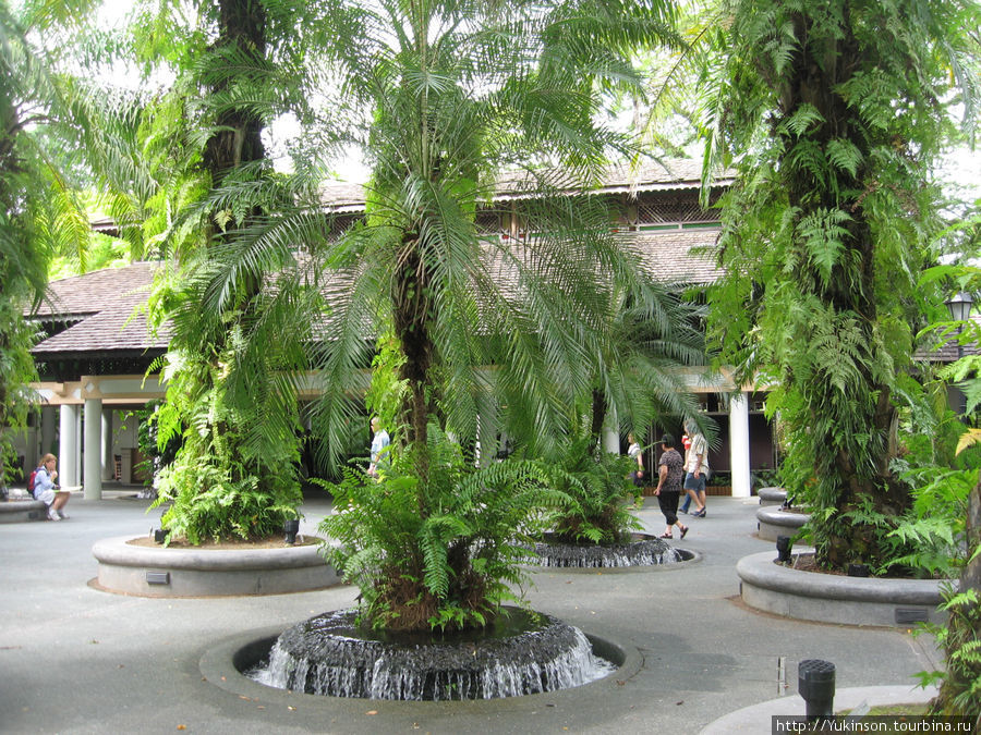 Сингапурский ботанический сад Сингапур (город-государство)
