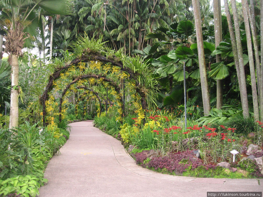 Сингапурский ботанический сад Сингапур (город-государство)