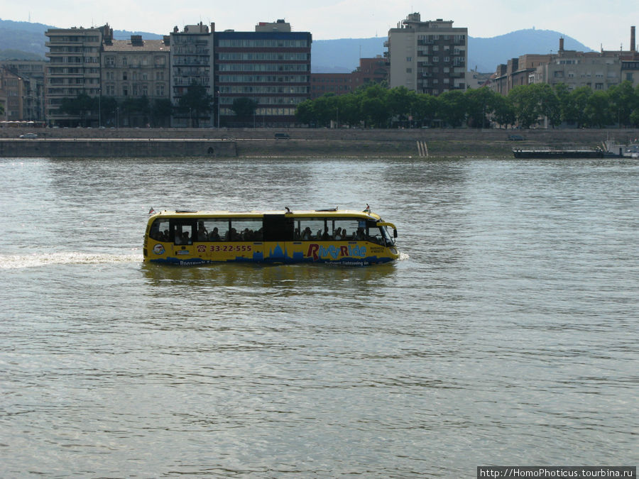 амфибия на Дунае Будапешт, Венгрия