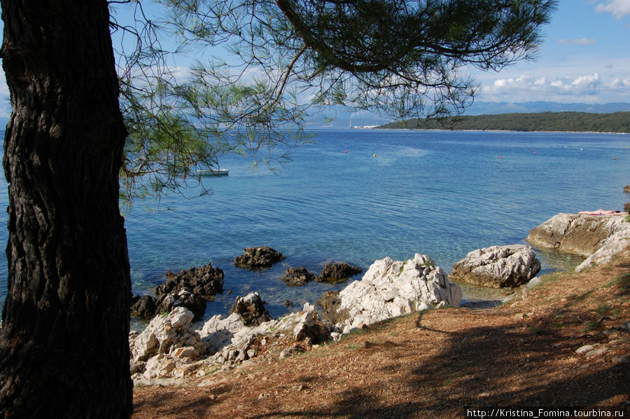 Златный оток Крк Крк, остров Крк, Хорватия