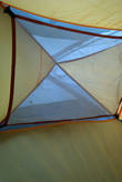 паук на крыше нашей палатки