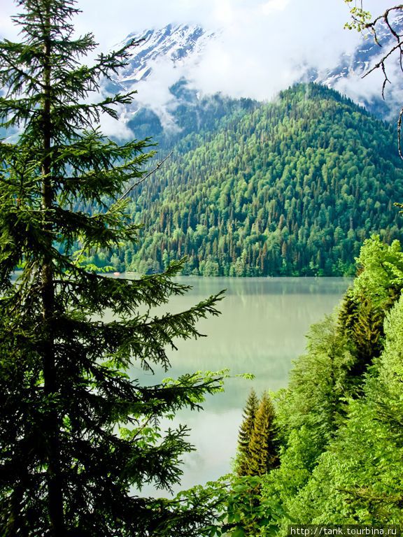 Абхазия. Озеро Рица Рица Реликтовый Национальный Парк, Абхазия
