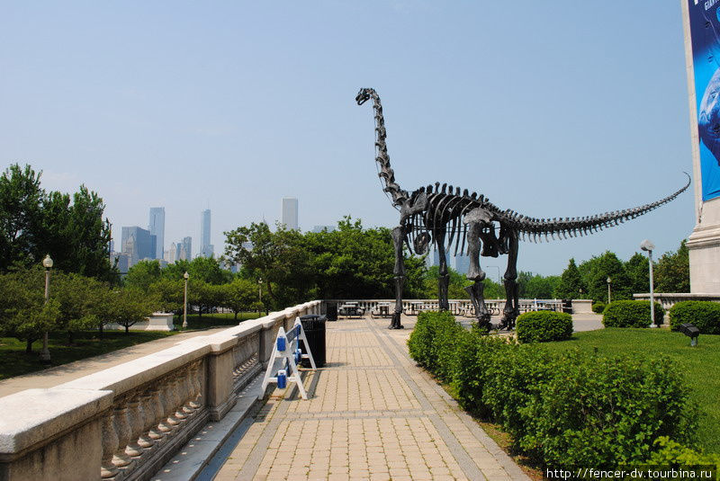 Вот например динозавр, грустно смотрящий в сторону даунтауна. Чикаго, CША