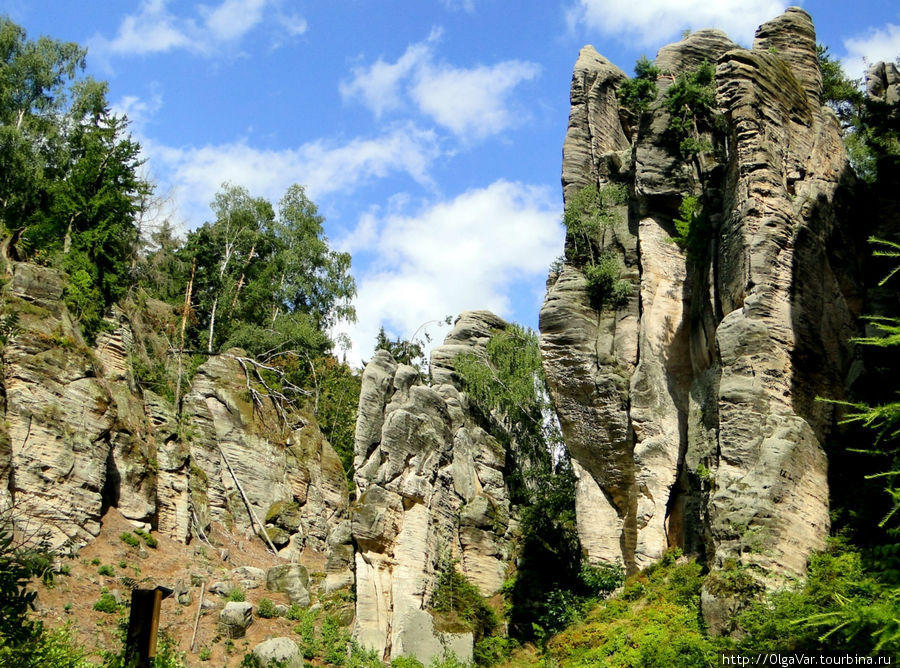 Как считают исследователи, песчаниковые отложения этих заповедных мест  образовались в мезозойскую эру, превратившись со временем в скальные города Чешский Рай Заповедник, Чехия