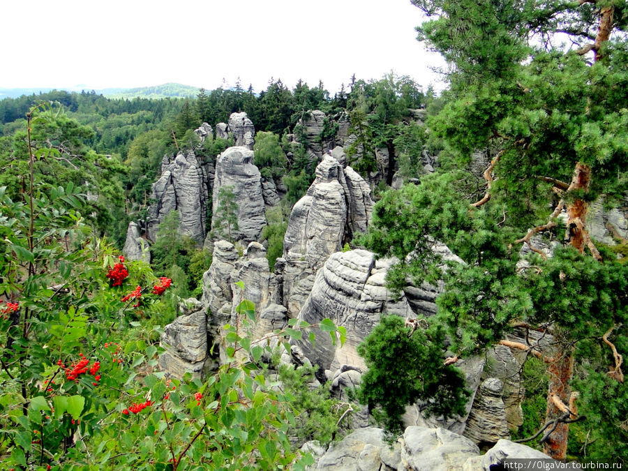 Праховские скалы можно увидеть в восточной части заповедника недалеко от городка Йичин Чешский Рай Заповедник, Чехия