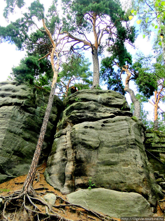 Праховские скалы в Чешском рае Чешский Рай Заповедник, Чехия