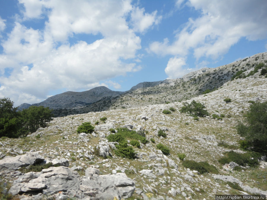 Парк природы Биоково Далмация, Хорватия