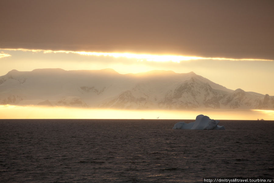 Антарктида (киты, закат). Антарктида
