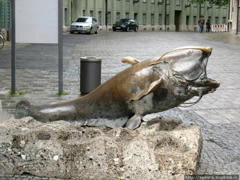 Сом возле музея Охоты и Рыбалки Мюнхен, Германия