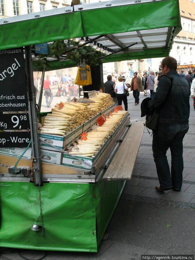 Спарженцайт — время продаж свежей спаржи Мюнхен, Германия