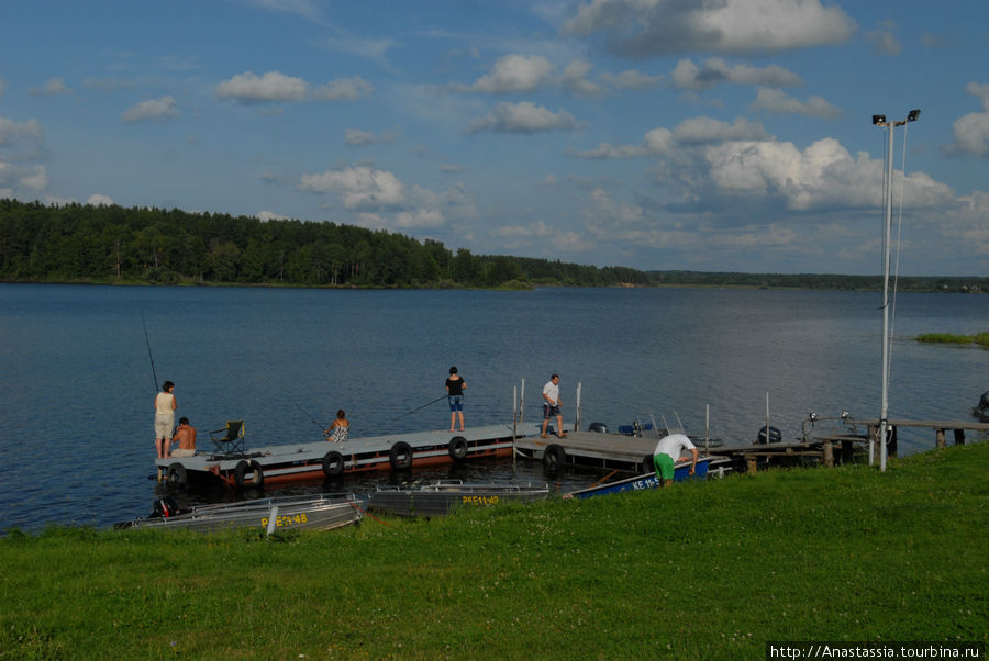 Барсуково Адворица, Россия