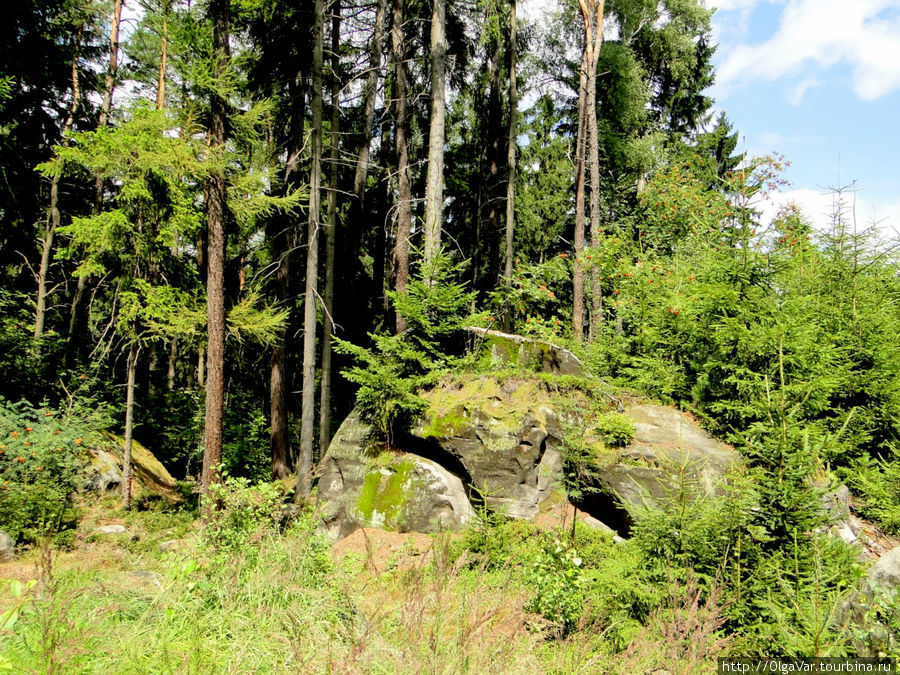 На опушке леса Йичин, Чехия