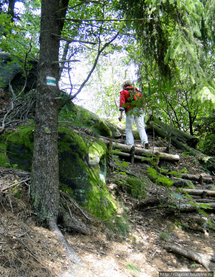 При таких отметках на деревьях заблудиться сложно Йичин, Чехия