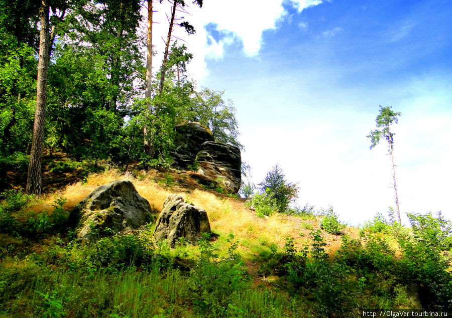 Пршивышина — на опушке леса Йичин, Чехия